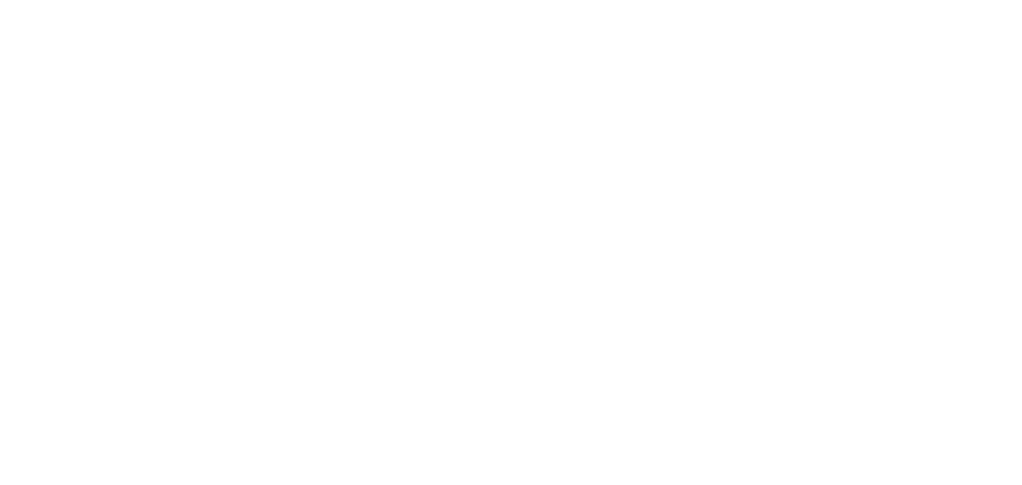 Logo Lid van TN